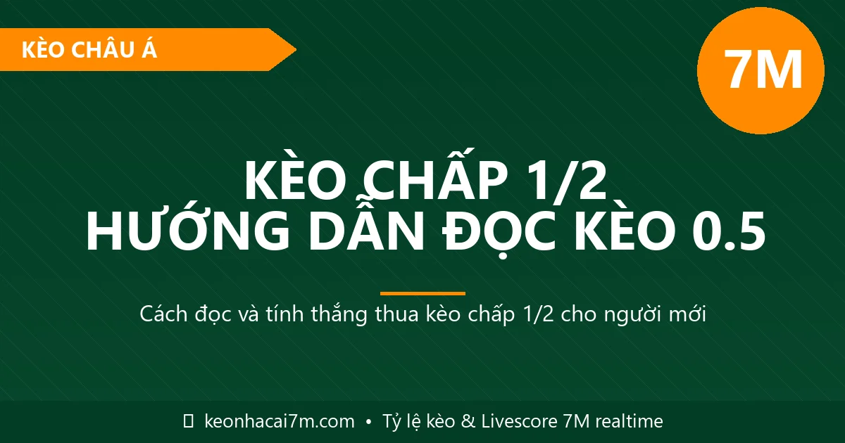 Kèo chấp 1/2 là gì - Hướng dẫn đọc kèo 0.5 chuẩn 7M