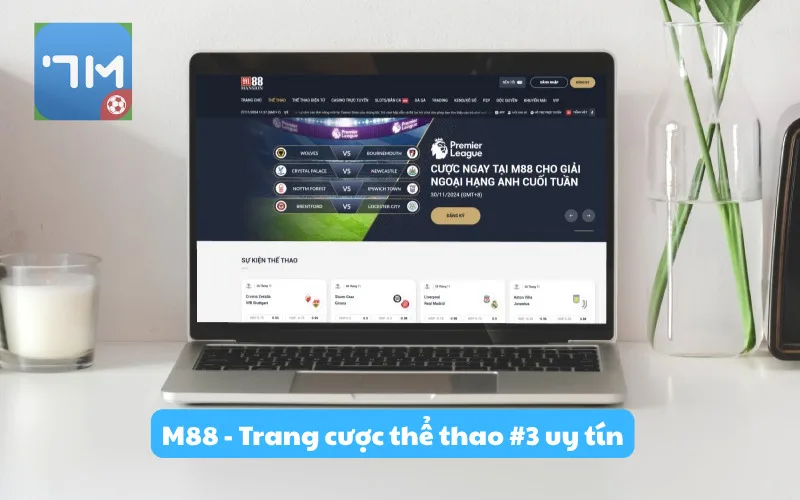 M88 - Trang cược thể thao #3 uy tín