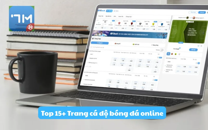 Top 15+ Trang cá độ bóng đá online - Cá cược thể thao trực tuyến uy tín tại Việt Nam 2026